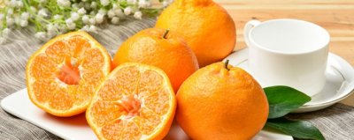 ​不知火和耙耙柑的区别是什么