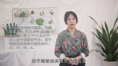 ​b1驾照可以开什么车