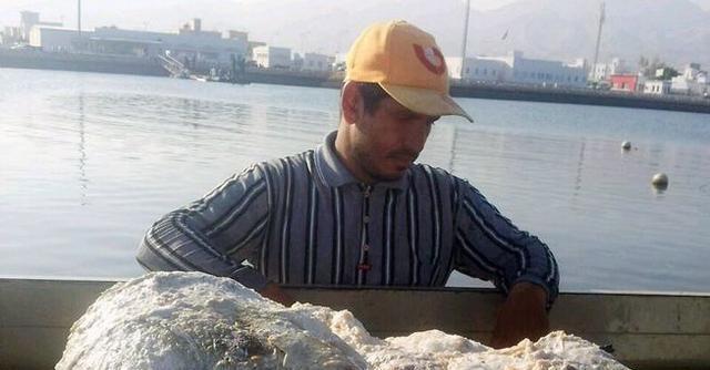 深海大王乌贼唯一的天敌, 专产稀世珍宝, 高达300多万美元!