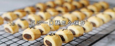 ​豆沙酥怎么做? 豆沙酥的做法(新手必看)