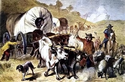 ​西进运动如何塑造了美国的国土和民族身份？