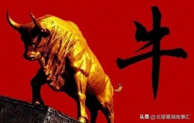 ​传销精心设计的骗局，非但不会使人致富，反而会导致人赤贫