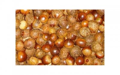 ​感情变淡的原因