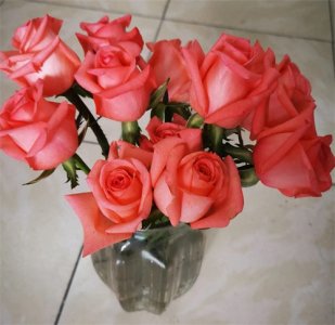 ​粉玫影星：艳而不俗，媚而不娇