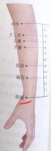 ​每日一穴…阳溪穴