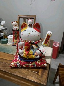 ​你家里的‘招财猫’真的有用吗？专家告诉你真相！