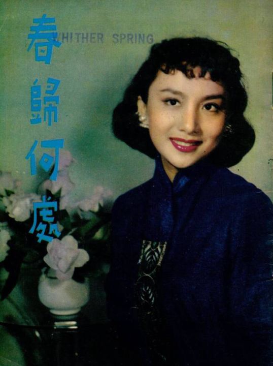 香港演员夏梦丈夫简介（“长城大公主”夏梦介绍）