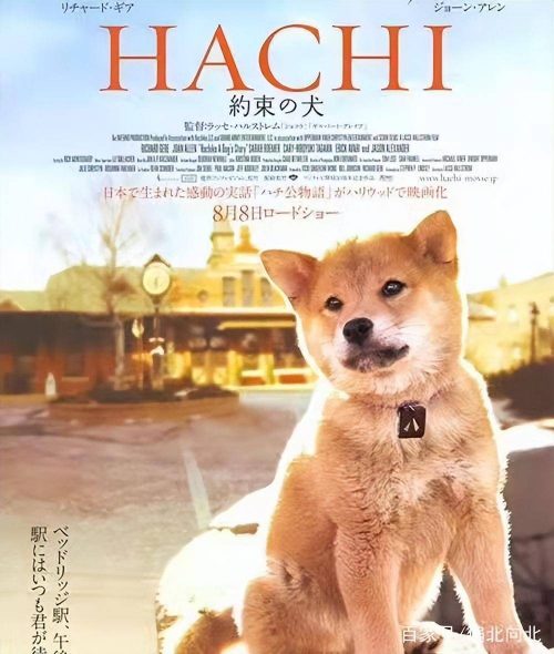 十大虐心的电影排行榜前十名(十部让你哭成泪人的经典电影)插图5