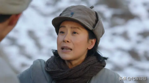 海清主演的电视剧(盘点实力派演员海清十大经典角色)插图8