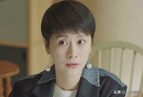 海清主演的电视剧(盘点实力派演员海清十大经典角色)插图5