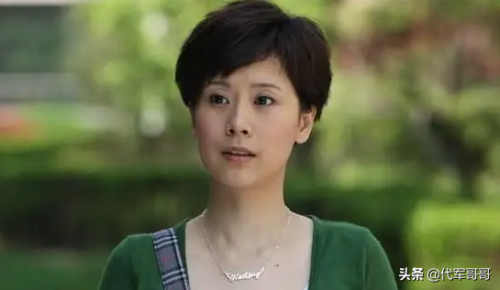 海清主演的电视剧(盘点实力派演员海清十大经典角色)插图3