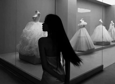 ​阿拉斯加雪橇犬（世界犬种-阿拉斯加雪橇犬）