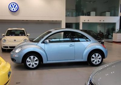 ​什么是甲壳虫