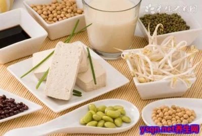 ​吃河蚌的禁忌(吃河蚌好处)