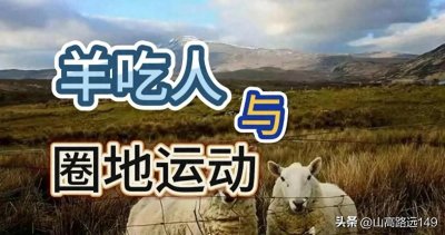 ​“羊吃人”与“圈地运动”