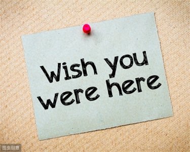 ​每日英语知识点 DAY 17：虚拟语气(5)-Wish