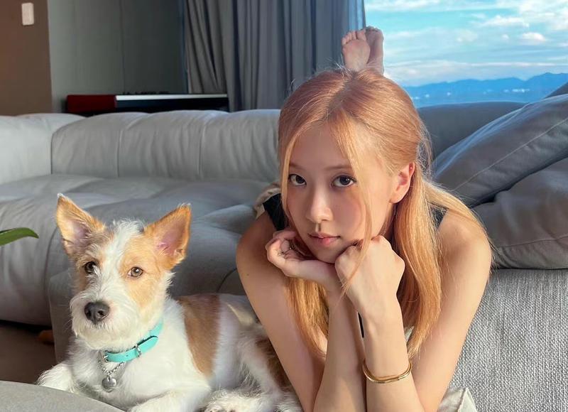 男女感情最舒服的状态是什么样？这样相处最舒服