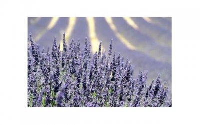 ​瘦腰健身舞抖音案牍（抖音健身舞蹈视频大全瘦腰）