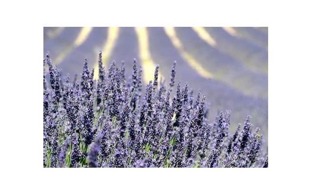 瘦腰健身舞抖音案牍（抖音健身舞蹈视频大全瘦腰）