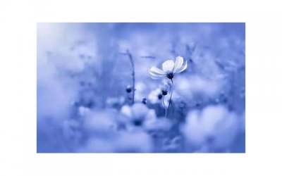 ​想做个暖男是什么