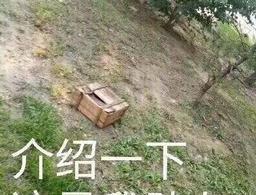 绝地求生新手吃鸡攻略,看完这几张图让你秒变大神