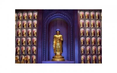 ​多年后重回母校心情感言一句话