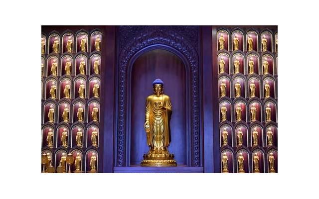 多年后重回母校心情感言一句话