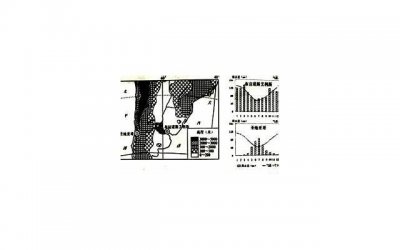 ​李小龙的电影（李小龙主演四部电影）