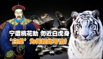 ​胡雪岩：“宁遭桃花劫，勿近白虎身”，“白虎”是什么？