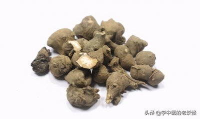 ​每日一中药——川乌