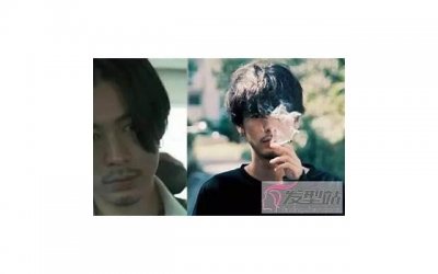 ​大象适合什么属相人（大象不合的属相）