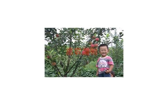 脸上有这六种“痕迹”的人，可能暗藏玄机，交往需谨慎